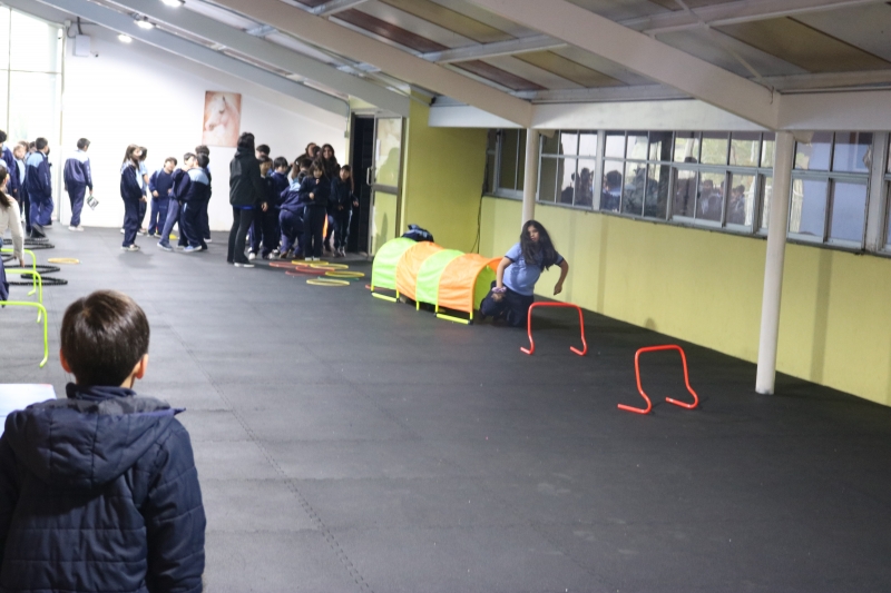 Día de la Actividad Física